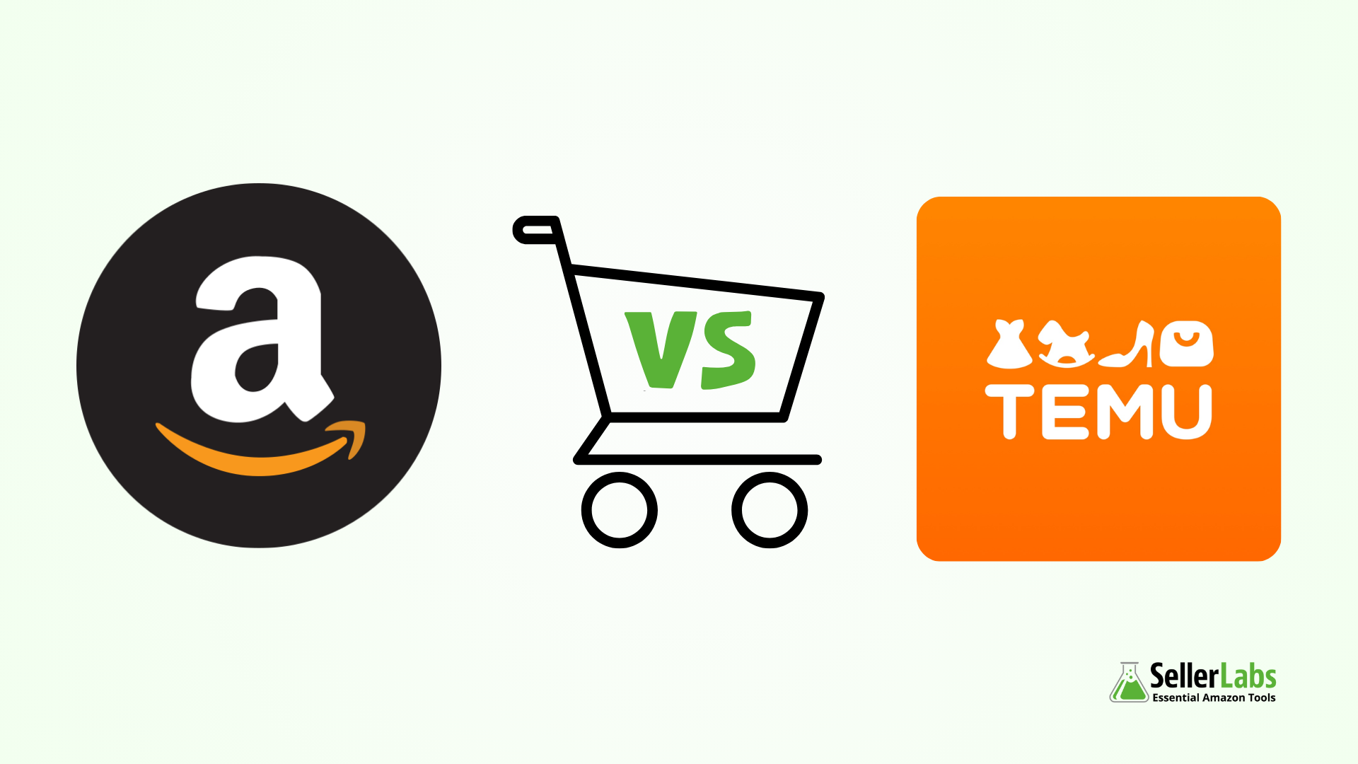 Amazon vs Temu